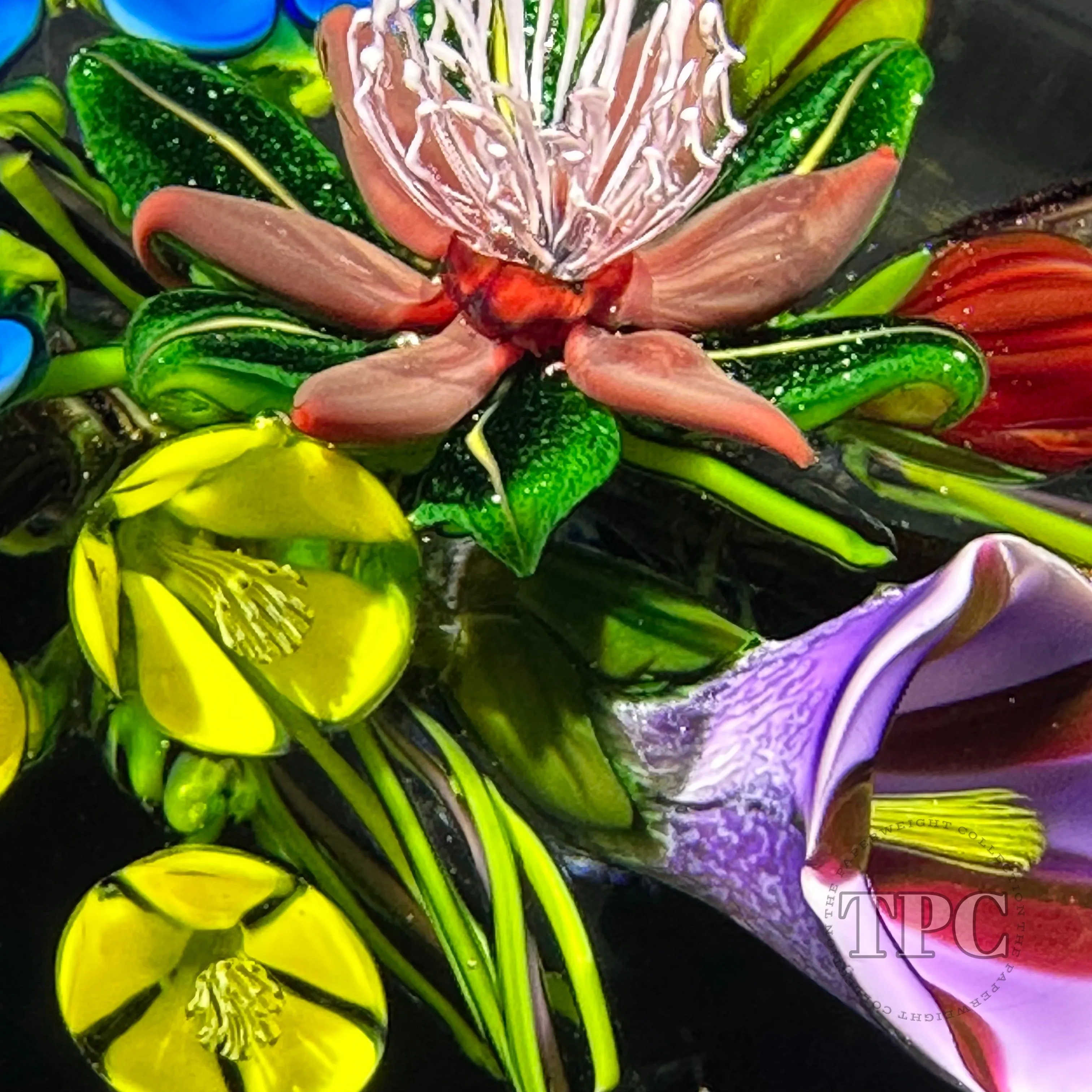 Ken Rosenfeld 2022 Glass Art Paperweight Flamework Flower Bouquet on Transparent Dark Emerald Green Ground