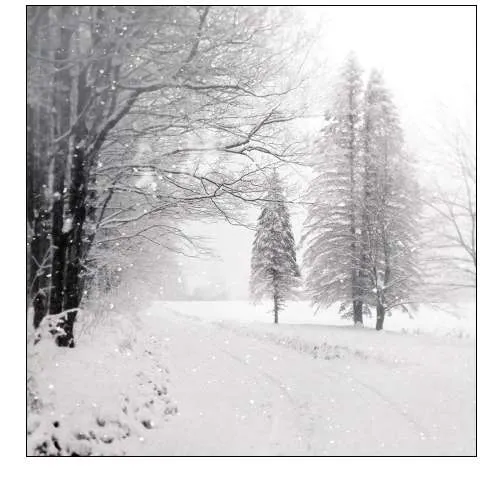 Let it Snow II BW No Words