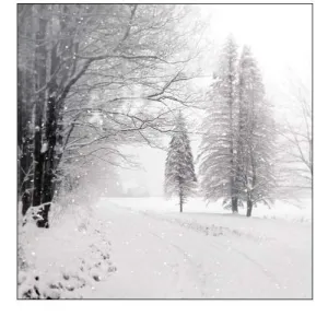 Let it Snow II BW No Words