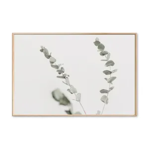 Modern Plants Leaves King Protea Flowers Wall Art