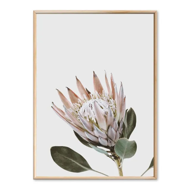 Modern Plants Leaves King Protea Flowers Wall Art