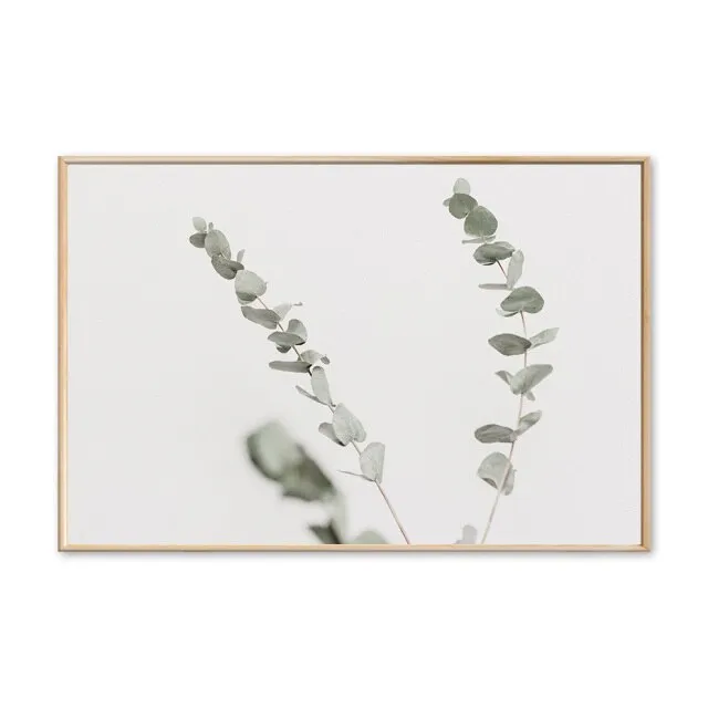 Modern Plants Leaves King Protea Flowers Wall Art
