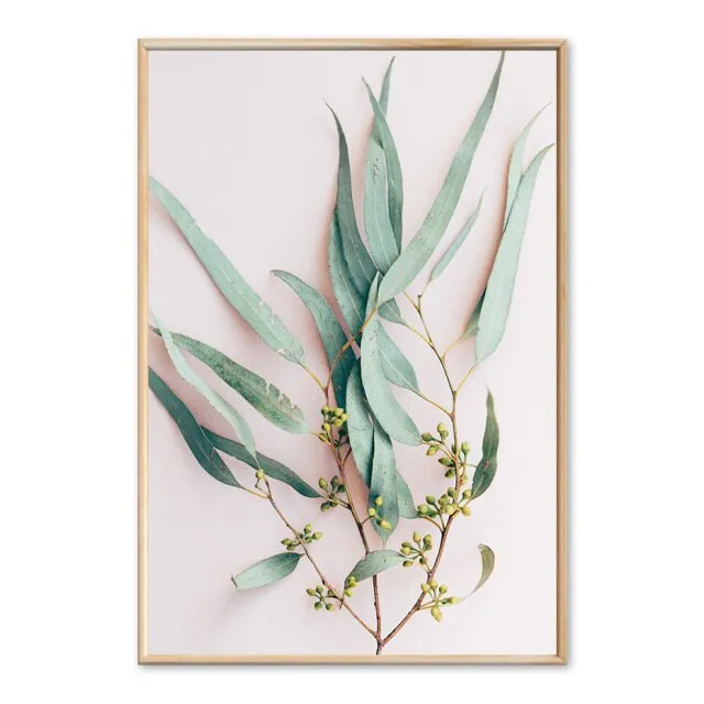 Modern Plants Leaves King Protea Flowers Wall Art