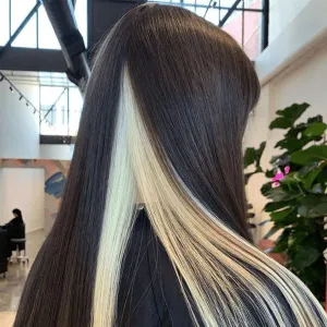 Modern Show Black Hair With Blonde Peekaboo Highlights Human Hair Wig
