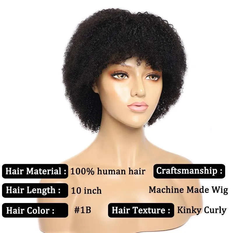 Modern Show Short Afro Kinky Curly Human Hair Wig With Bangs Affordable Glueless Wigs For Women