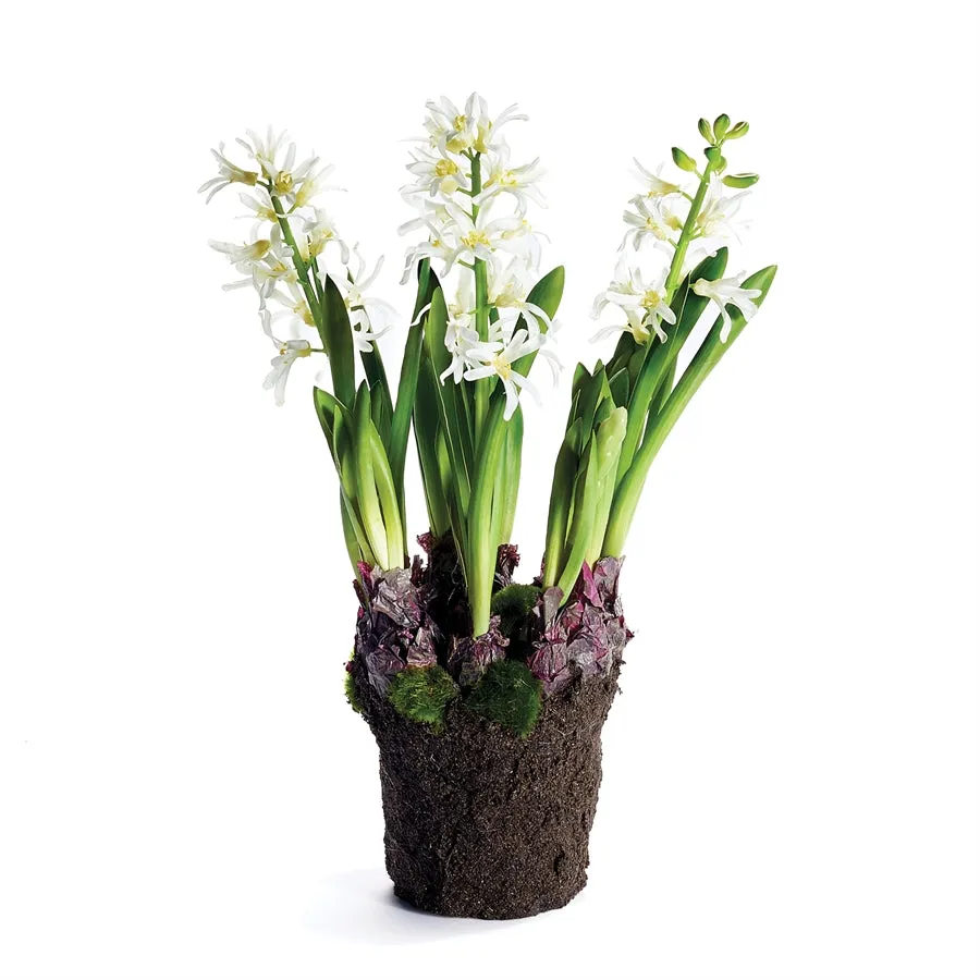 Napa Home Garden, HYACINTH DROP-IN 16.5" WHITE,cc313wh
