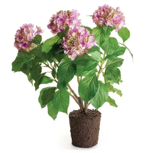 Napa Home Garden, HYDRANGEA DROP-IN 27" LILAC,cc349prl