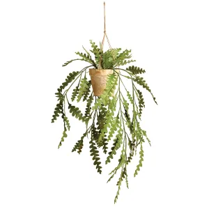 Napa Home Garden, RIC RAC HANGING CACTUS POTTED 17",ngp503