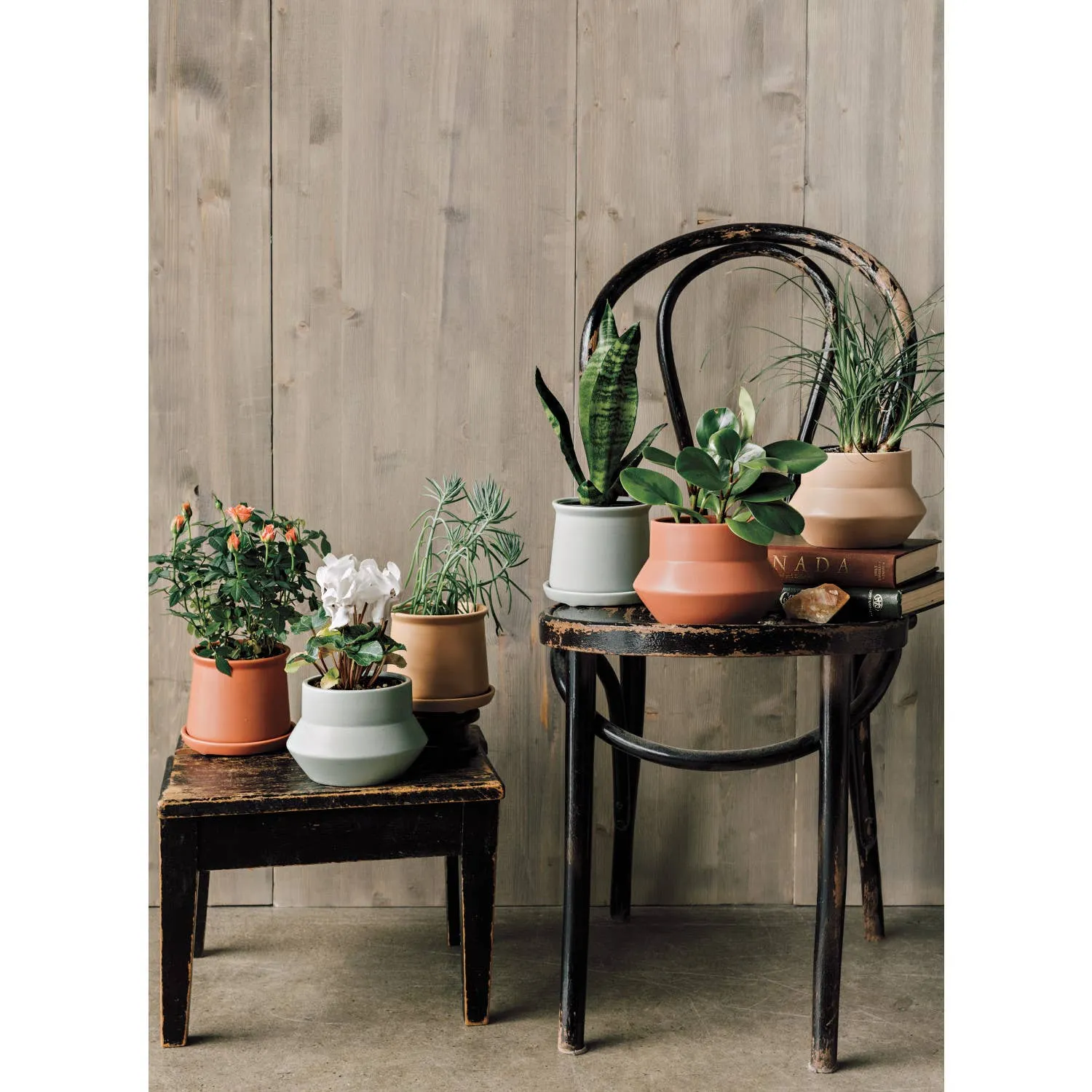 Nectar Mesa Plant Pot