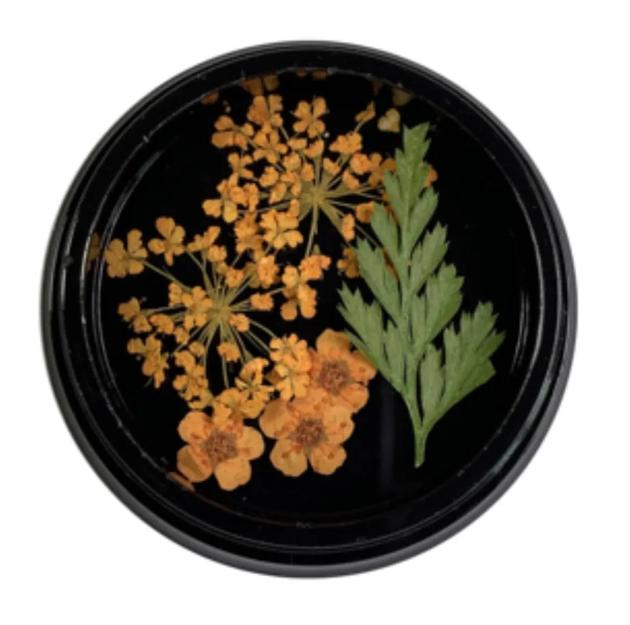 Orange Dried Flowers