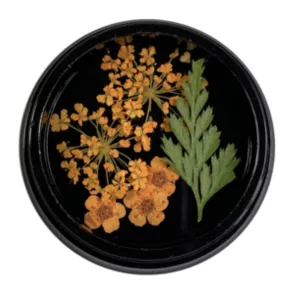 Orange Dried Flowers