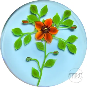 Paul Stankard 1978 Glass Art Paperweight Flamework St. Anthony's Fire Blossoms on Blue