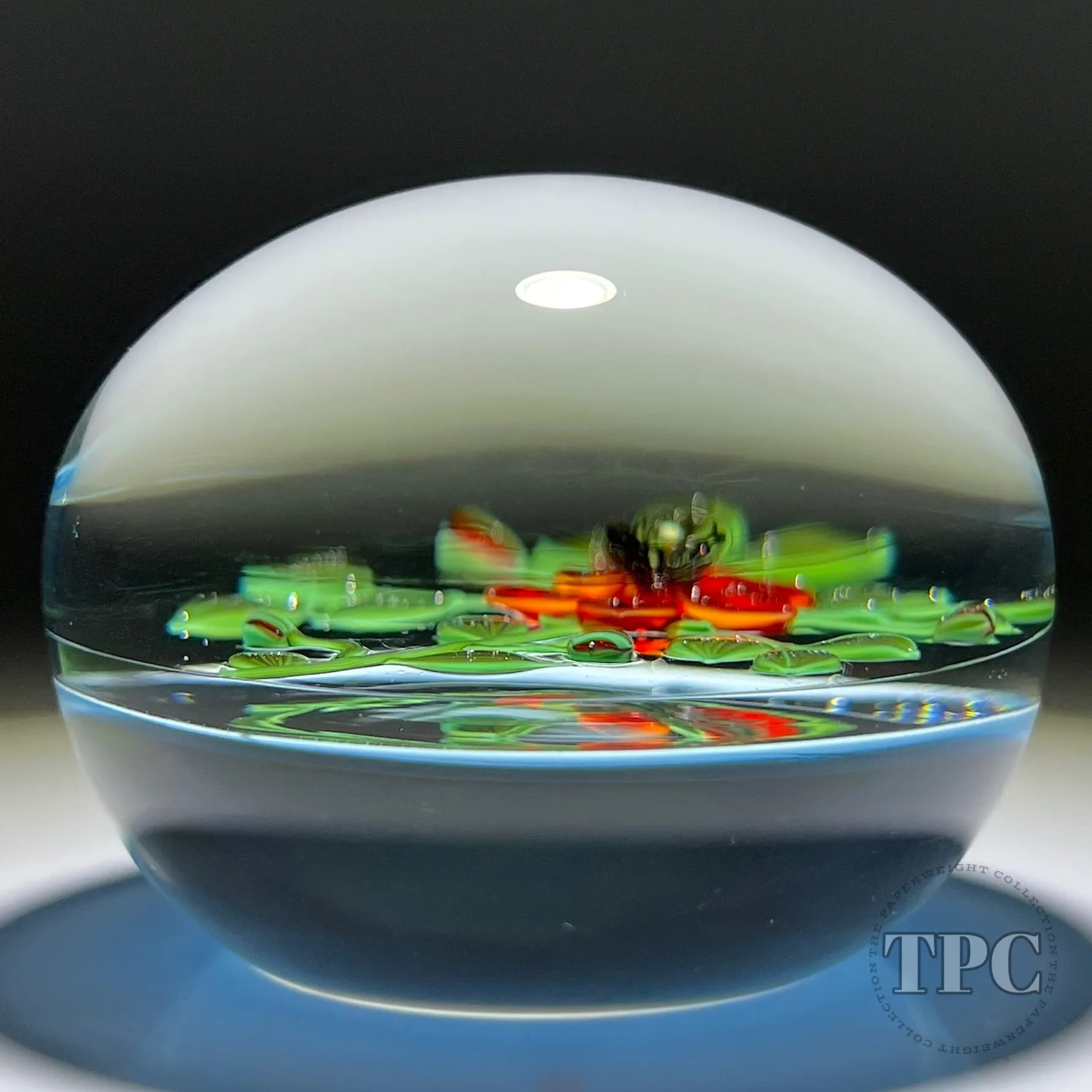 Paul Stankard 1978 Glass Art Paperweight Flamework St. Anthony's Fire Blossoms on Blue