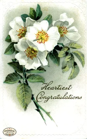 PDXC10896 -- Flower Cards Roses Congratulations