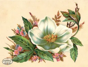 PDXC10922 -- Flower Cards Pink and White