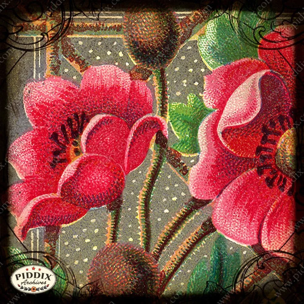 PDXC11805e -- Flora & Fauna