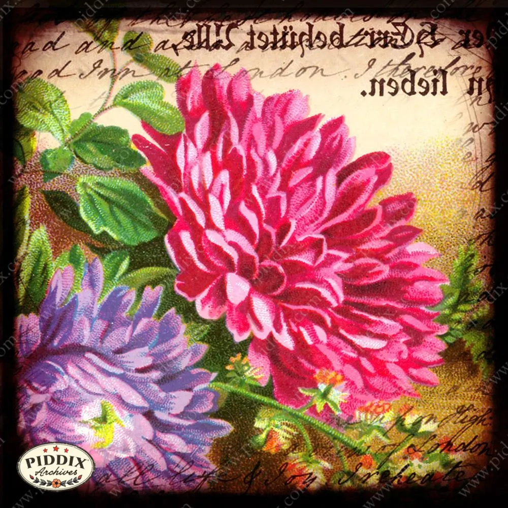 PDXC14168b -- Flora & Fauna