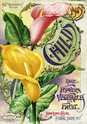 PDXC1494 -- Flower Seed Catalogs