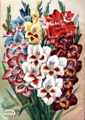 PDXC1498 -- Flower Seed Catalogs