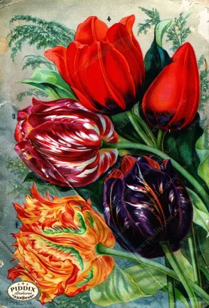 PDXC1508 -- Flower Seed Catalogs