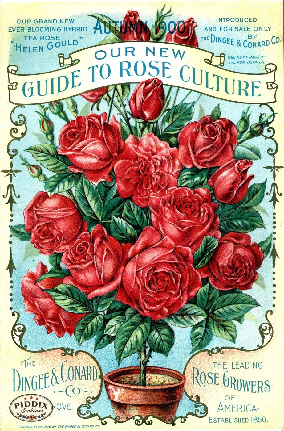 PDXC1515 -- Vintage Rose Culture Catalogs