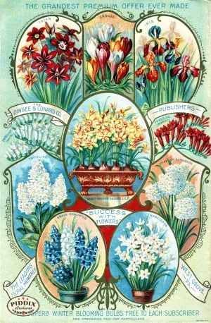 PDXC1516 -- Flower Seed Catalogs