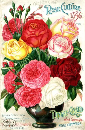 PDXC1519 -- Vintage Rose Culture Catalogs