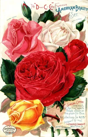 PDXC1520 -- Vintage Rose Culture Catalogs