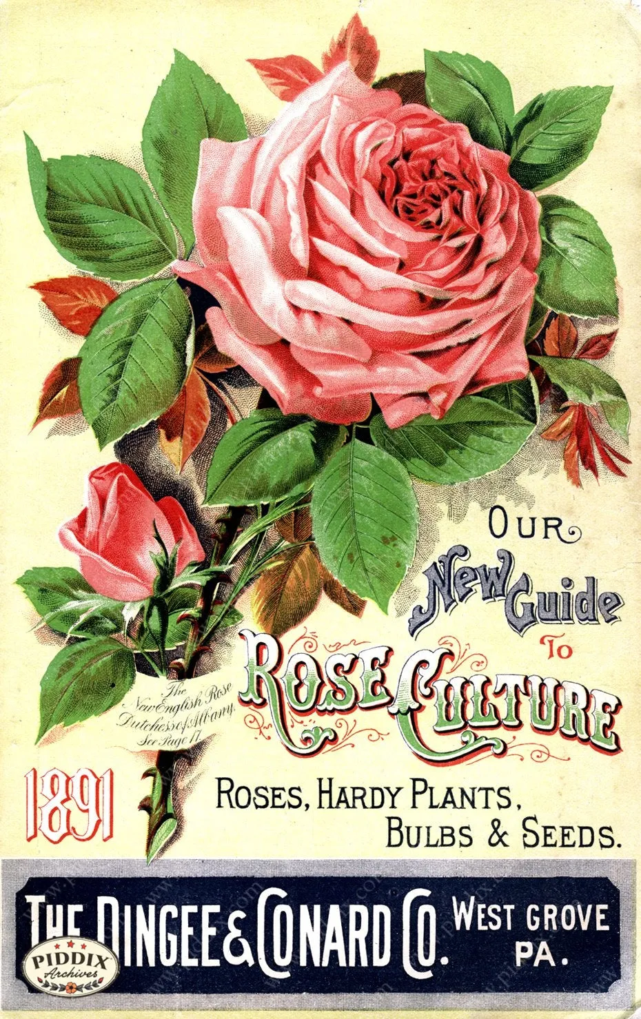 PDXC1522 -- Vintage Rose Culture Catalogs