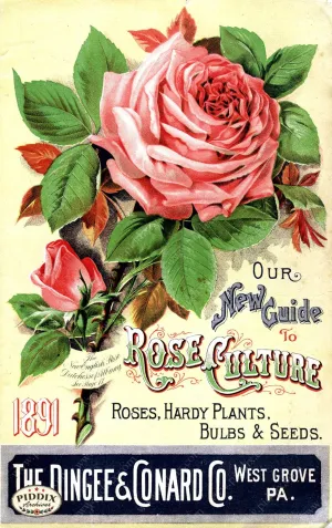 PDXC1522 -- Vintage Rose Culture Catalogs