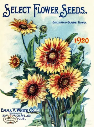 PDXC1526 -- Flower Seed Catalogs