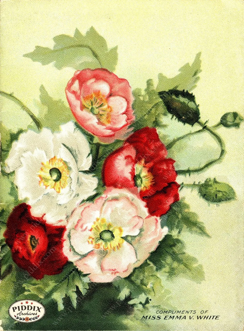 PDXC1531 -- Flower Seed Catalogs