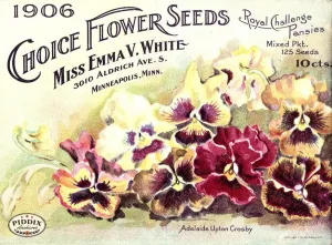 PDXC1534 -- Flower Seed Catalogs