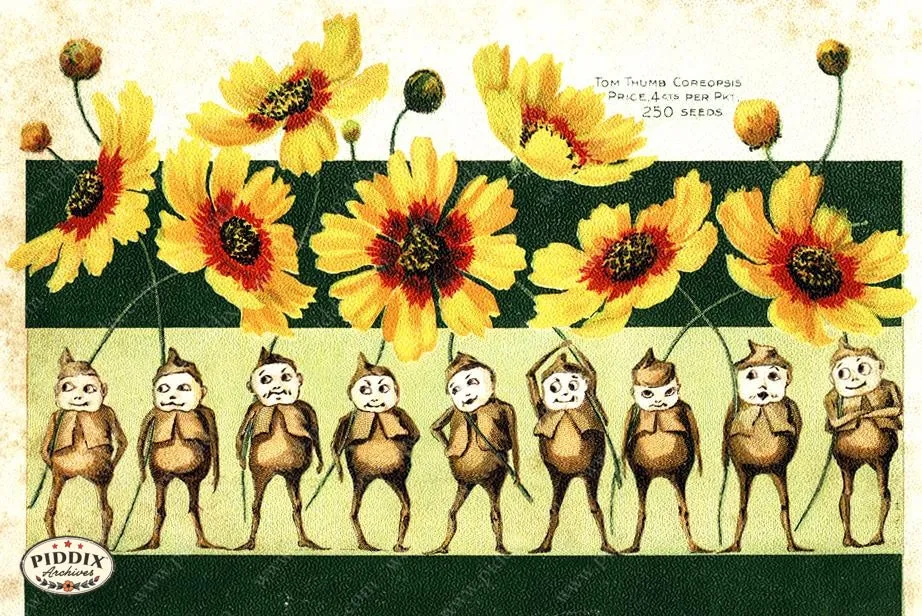 PDXC1538 -- Flower Seed Catalogs
