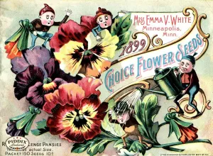 PDXC1539 -- Flower Seed Catalogs
