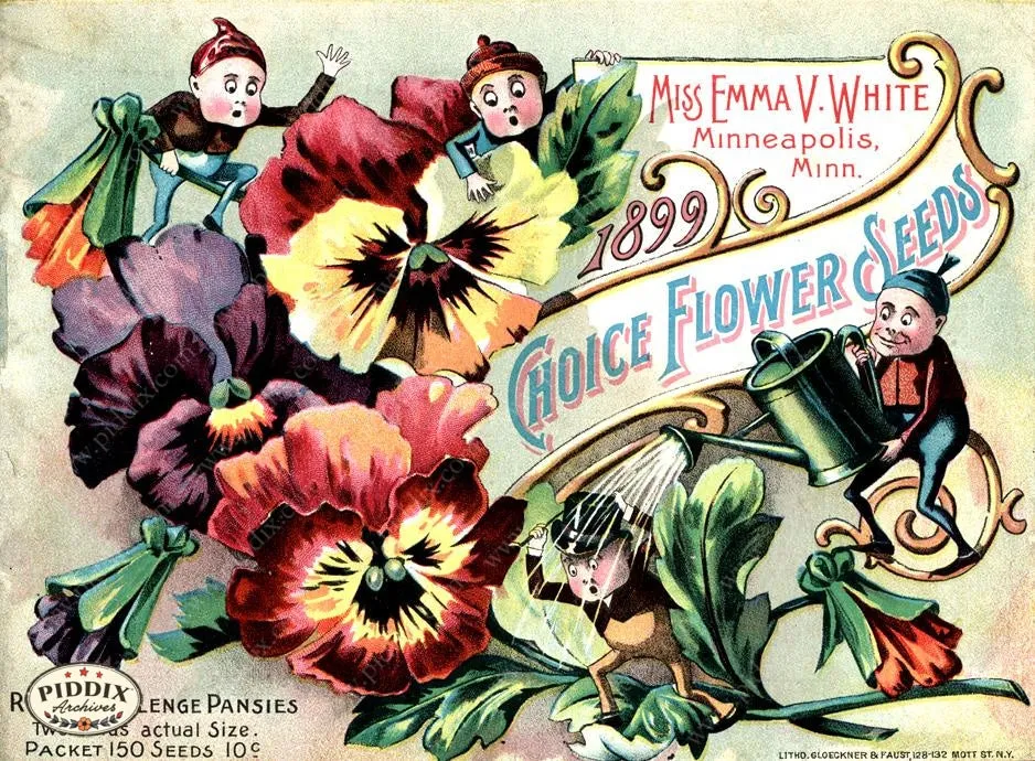 PDXC1539 -- Flower Seed Catalogs