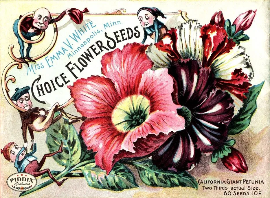 PDXC1540 -- Flower Seed Catalogs