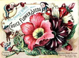 PDXC1540 -- Flower Seed Catalogs