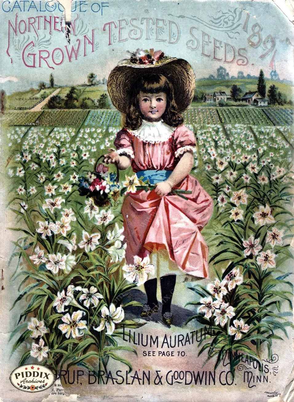 PDXC1555 -- Flower Seed Catalogs
