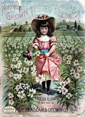 PDXC1555 -- Flower Seed Catalogs