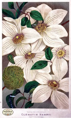 PDXC1570 -- Flower Seed Catalogs
