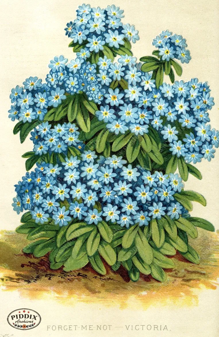 PDXC1577 -- Flower Seed Catalogs