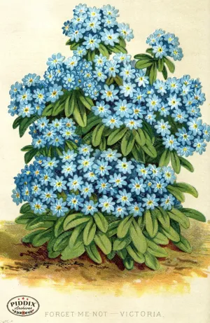 PDXC1577 -- Flower Seed Catalogs