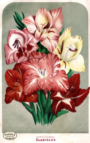 PDXC1579 -- Flower Seed Catalogs