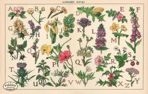 PDXC16058 -- Flower Alphabet