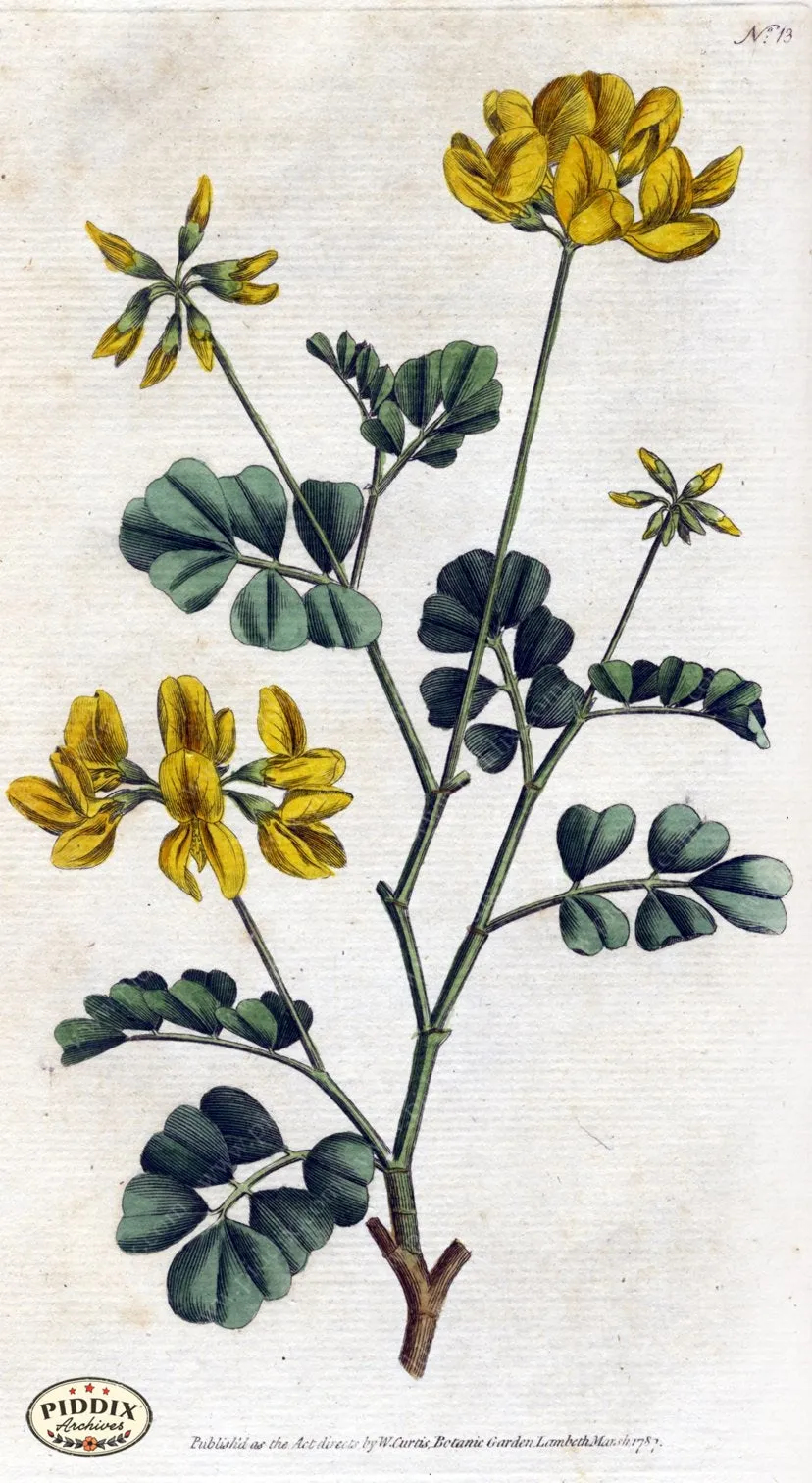 PDXC1733 -- Flowers