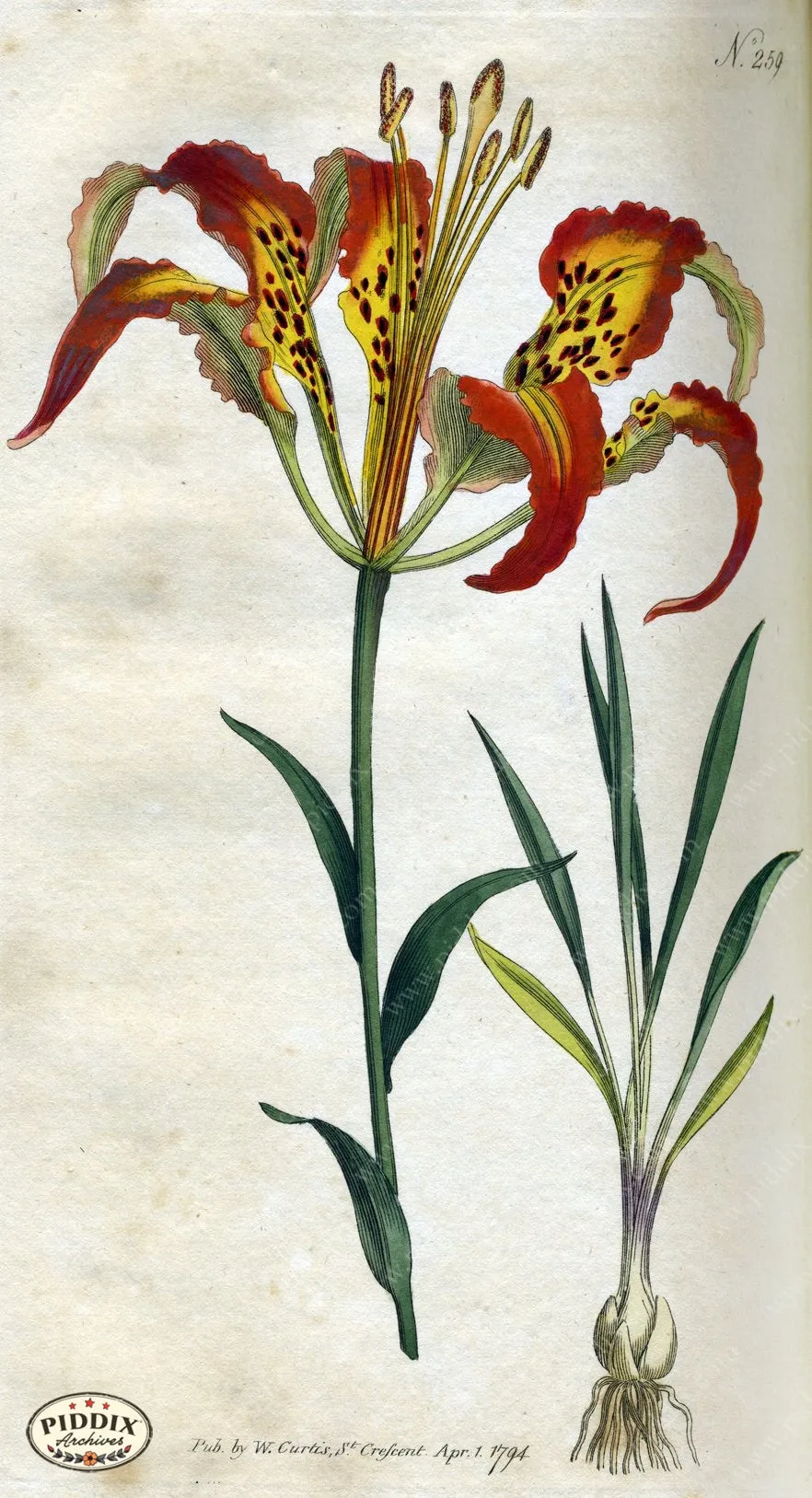 PDXC1768 -- Flowers