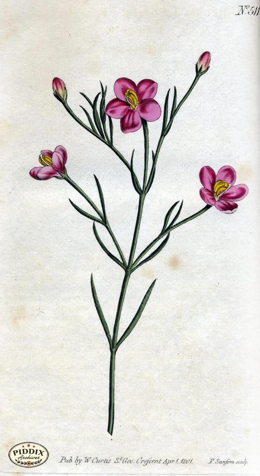 PDXC1775 -- Flowers