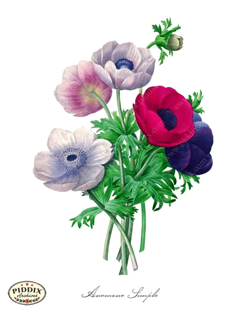 PDXC18056b -- Bright Vintage Flowers
