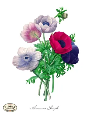 PDXC18056b -- Bright Vintage Flowers